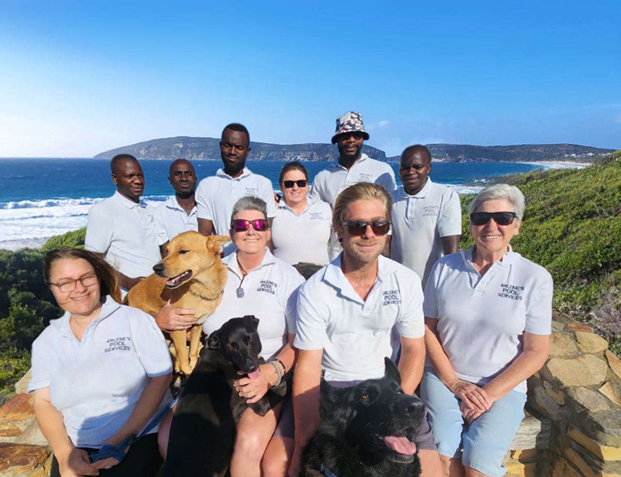 Arlene's Pool Services